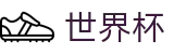 国际足联世界杯中国官方买球大厅 | 正版授权网站